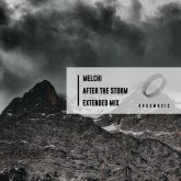 پس از طوفان