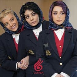 جوجه تیغی