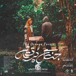 جنگ پرتقال