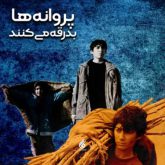 پروانه ها بدرقه می کنند