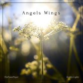 بالهای فرشتگان
