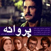 پروانه