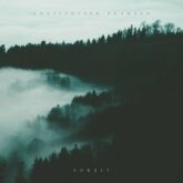 دانلود موسیقی بی کلام جنگل (Forest)
