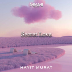 دانلود موسیقی بی کلام عشق مخفی (Secret Love)