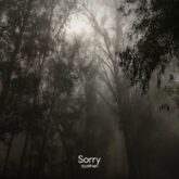 دانلود موسیقی بی کلام متاسفم (Sorry)