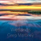 دانلود موسیقی بی کلام تالاب ها (Wetlands)