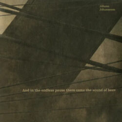 And in the Endless Pause There Came the Sound of Bees (Original Soundtrack)
