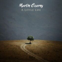 دانلود موسیقی بی کلام یک زندگی کوچک (A Little Life)