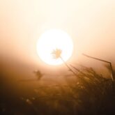 دانلود موسیقی بی کلام نور شما (Your Light)