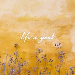 دانلود موسیقی بی کلام زندگی خوب است (Life Is Good)