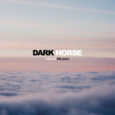 dark horse hayit murat