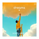 dreams scandinavianz
