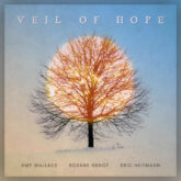 veil of hope amy wallace roxane genot eric heitmann