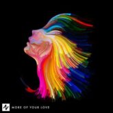 approaching nirvana more of your love single 2019 300x300