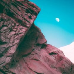 bonobo linked single 2019 300x300