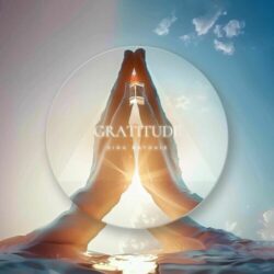 gratitude sina bathaie