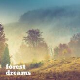 forest dreams succession single 2019 300x300
