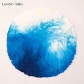 lunng fern the dance single 2019 300x300