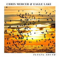 chris mercer flying south single 2020