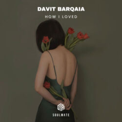 how i loved davit barqaia davit barqaia