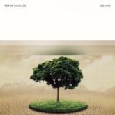 peter cavallo adamo single 2020 300x300