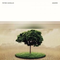 peter cavallo adamo single 2020 300x300