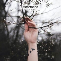 dyathon heartache 2020