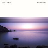 peter cavallo resting place 2020